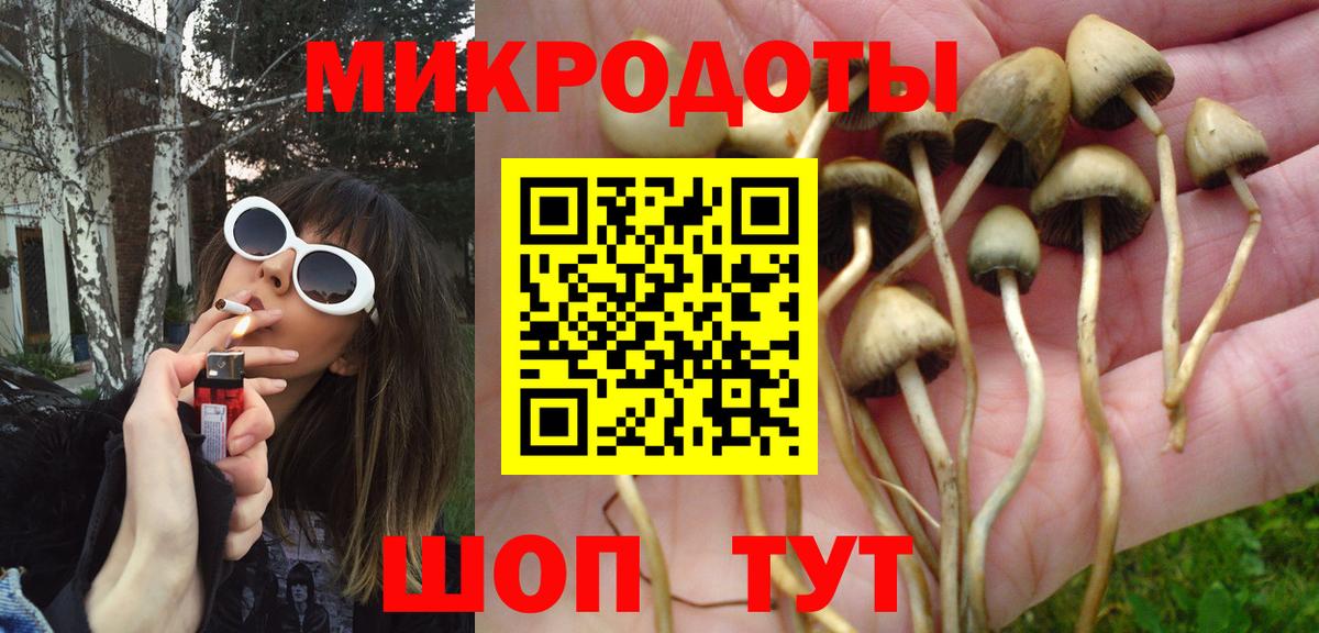 Галлюциногенные грибы Psilocybine cubensis Грозный