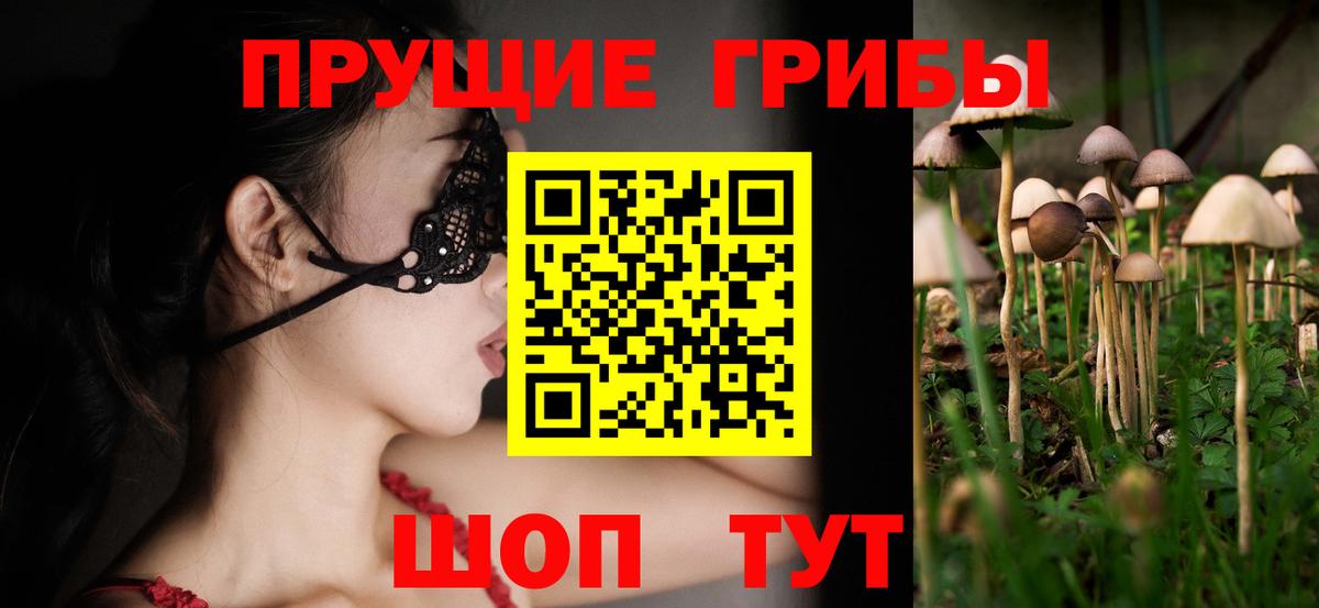 Псилоцибиновые грибы Psilocybe  Вход с VPN  Грозный 